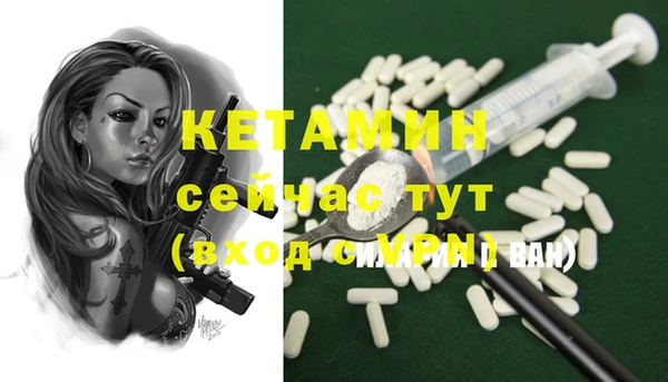 индика Заволжье