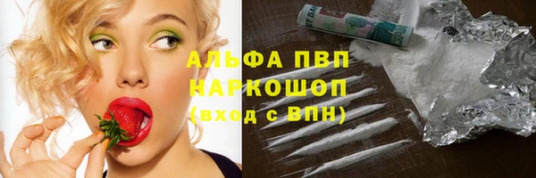 индика Заволжье