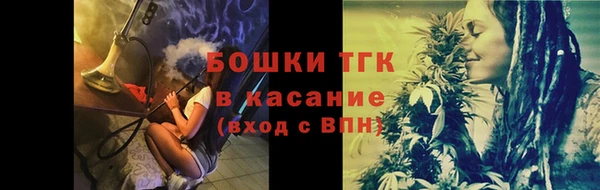 индика Заволжье
