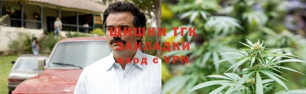 индика Заволжье