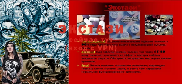 индика Заволжье