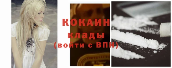 индика Заволжье