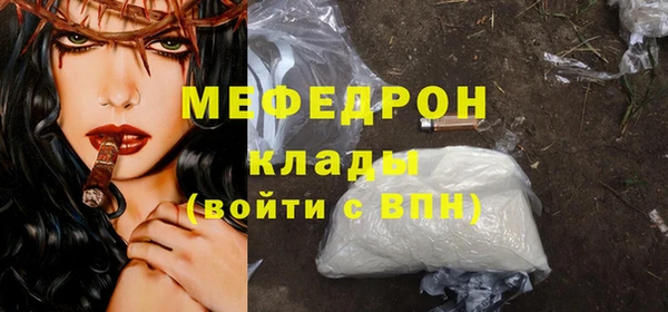 индика Заволжье