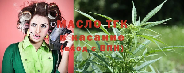 индика Заволжье