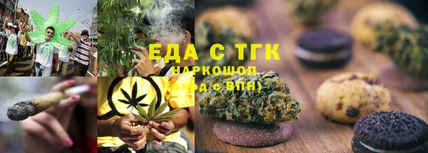 индика Заволжье