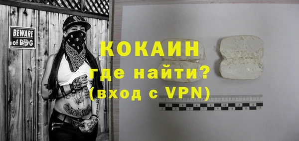 индика Заволжье
