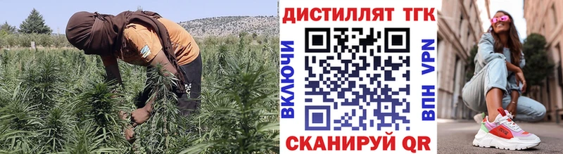 Купить  Зубцов  Дистиллят ТГК Wax 