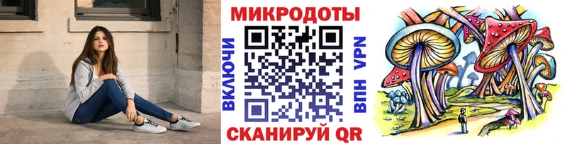 Купить где  Зубцов  Галлюциногенные грибы Magic Shrooms 